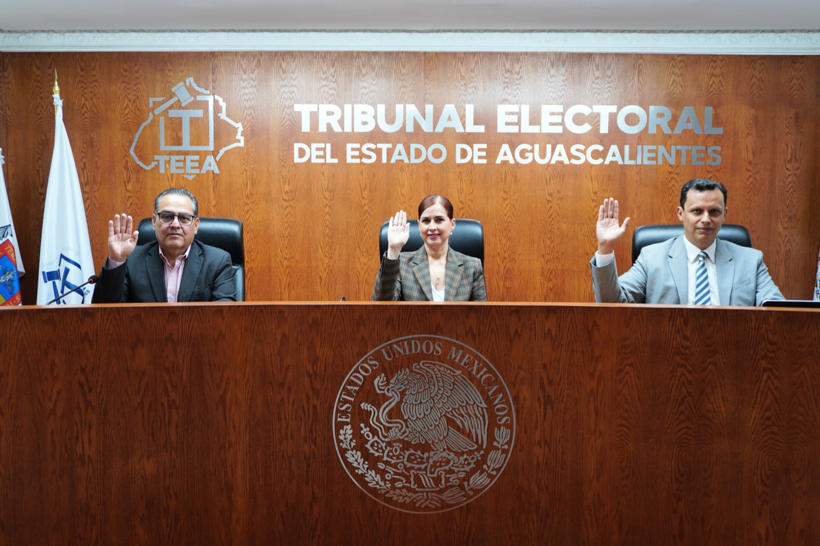 El Pleno del Tribunal durante una sesión pública de resolución.