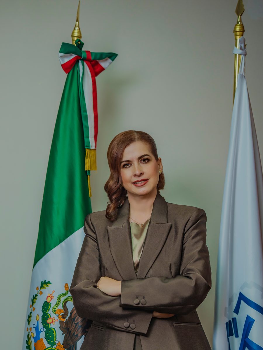 Retrato oficial de la Magistrada Presidenta Laura Hortensia Llamas Hernández.
